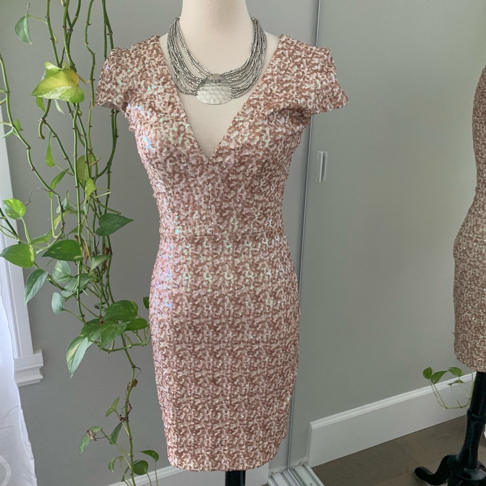 Dress the Population 'Zoe' Sequin Body-Con dress